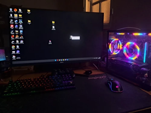 PC gamer