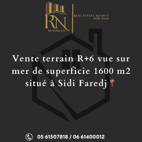 Vente Terrain Alger Staoueli
