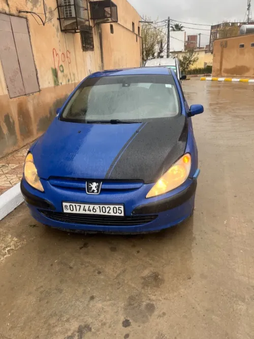 Peugeot 307 2002 307