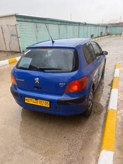 Peugeot 307 2002 307