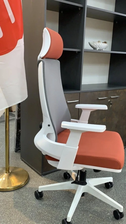 Chaise ergonomique 