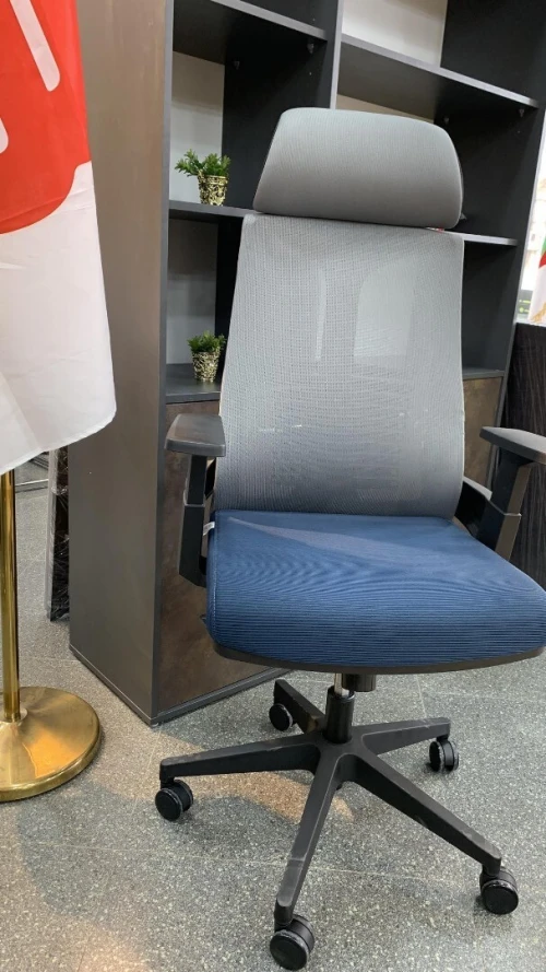 Chaise ergonomique 