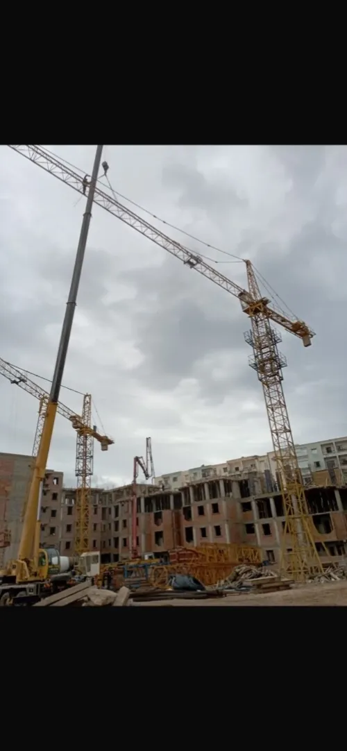 Grue a tour Chinois 