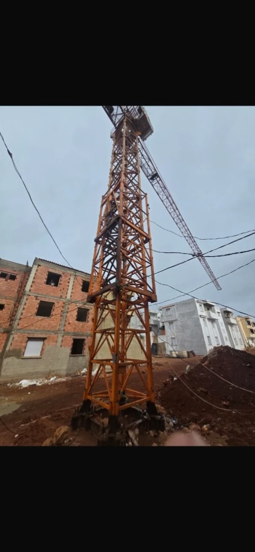 Grue Chinois 