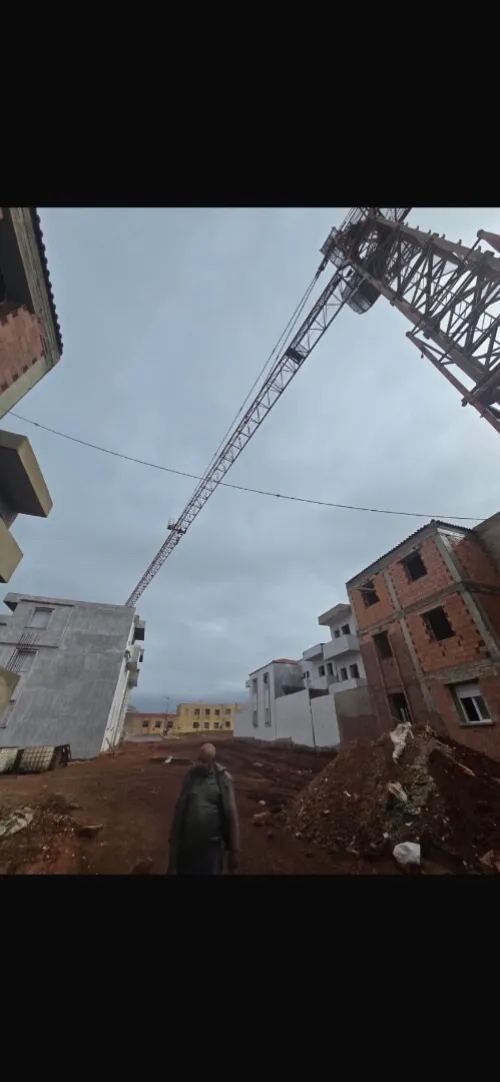 Grue Chinois 