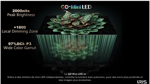 TV IRIS 55" QD MINI LED S9800 GOOGLE TV 144 Hz OMNIVIEW MEMC VRR ALLM 4k UHD ANDROID 14 + BARRE DE SON INTEGRÉE