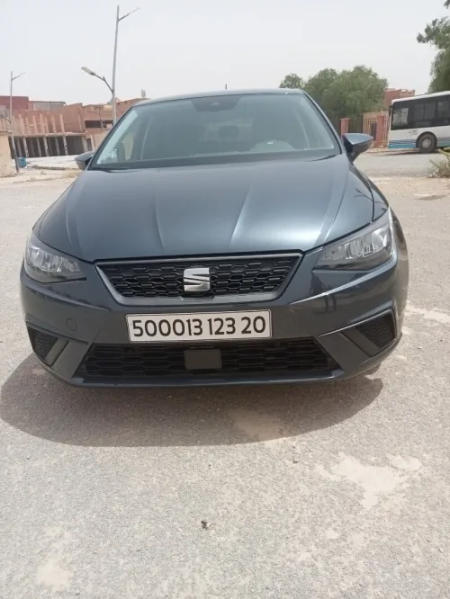 Seat Ibiza 2023 Style