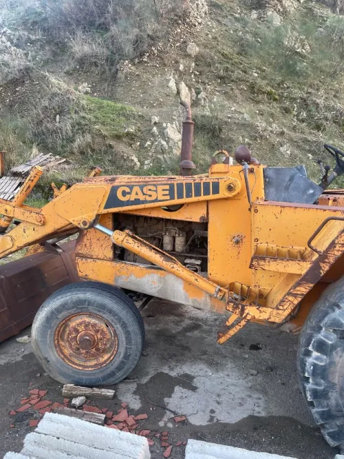 Case Case 1982