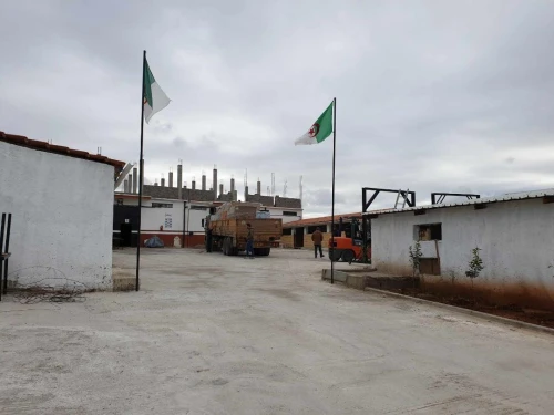 Vente Terrain Tlemcen Nedroma