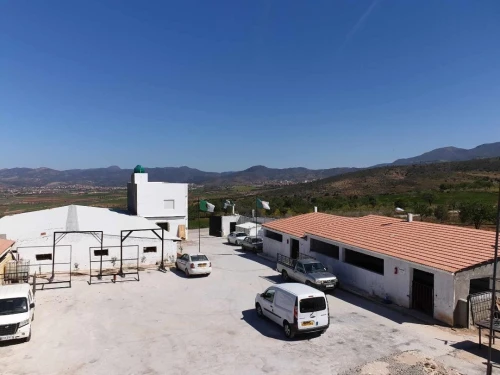 Vente Terrain Tlemcen Nedroma