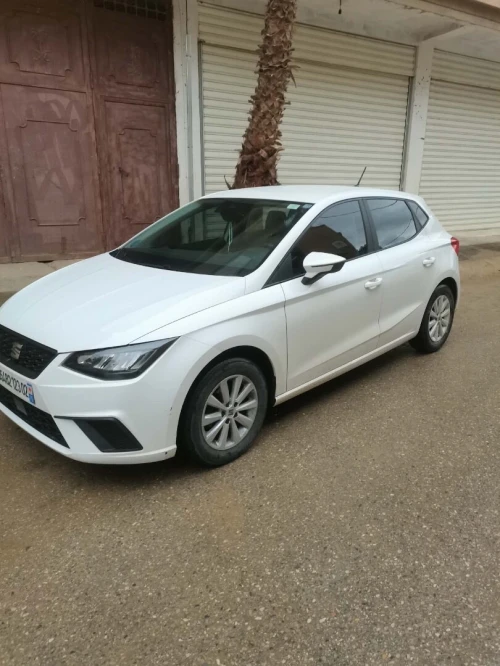 Seat Ibiza 2023 Style