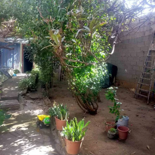 Vente bien immobilier Alger Bachdjerrah
