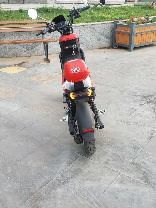 Niu Niu 2024