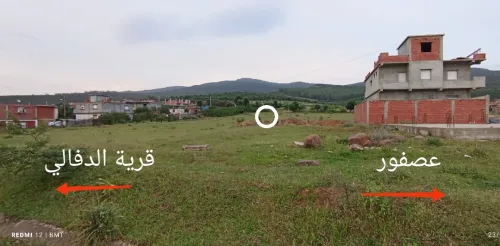 Vente Terrain El Tarf Asfour