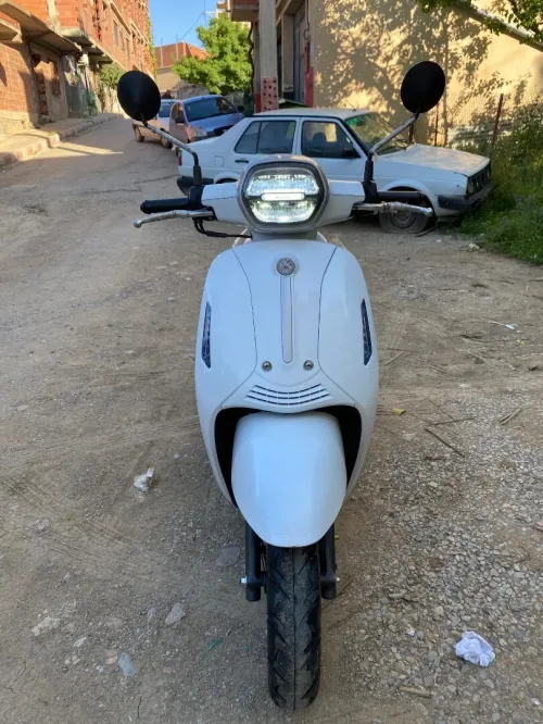 VMS Benelli 2023