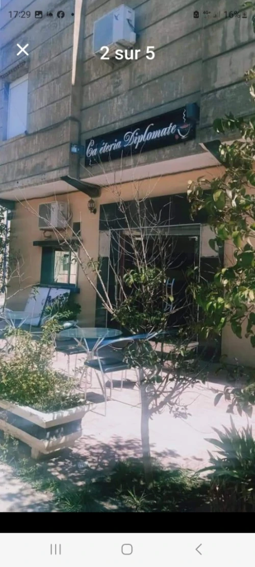 Location bien immobilier Tiaret Tiaret