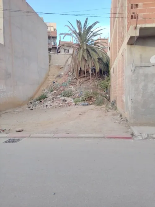 Vente Terrain Alger Reghaia
