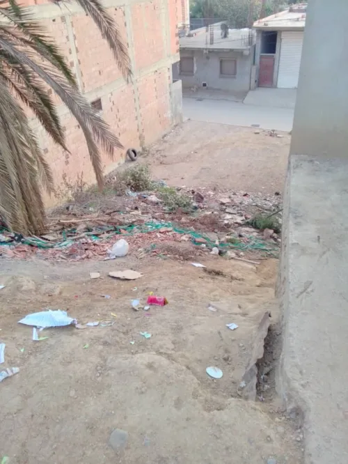 Vente Terrain Alger Reghaia