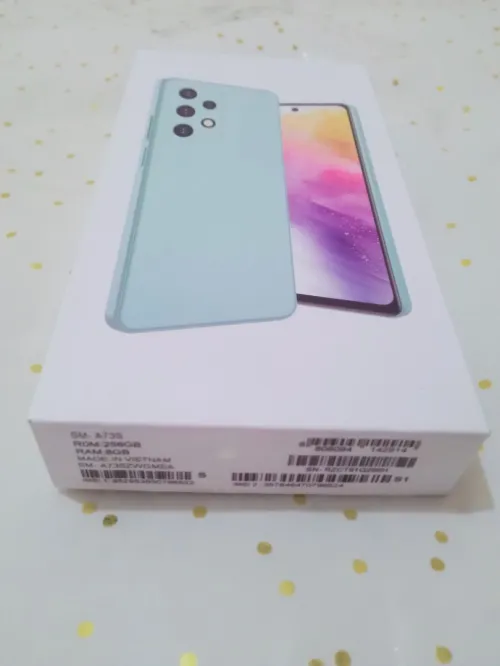 Samsung Galaxy A73S