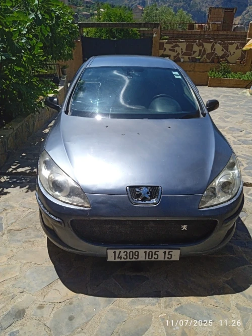 Peugeot 407 2005 407