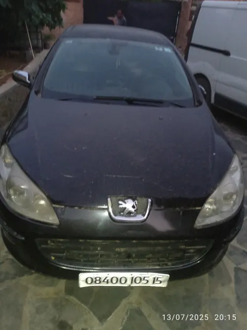 Peugeot 407 2005 407