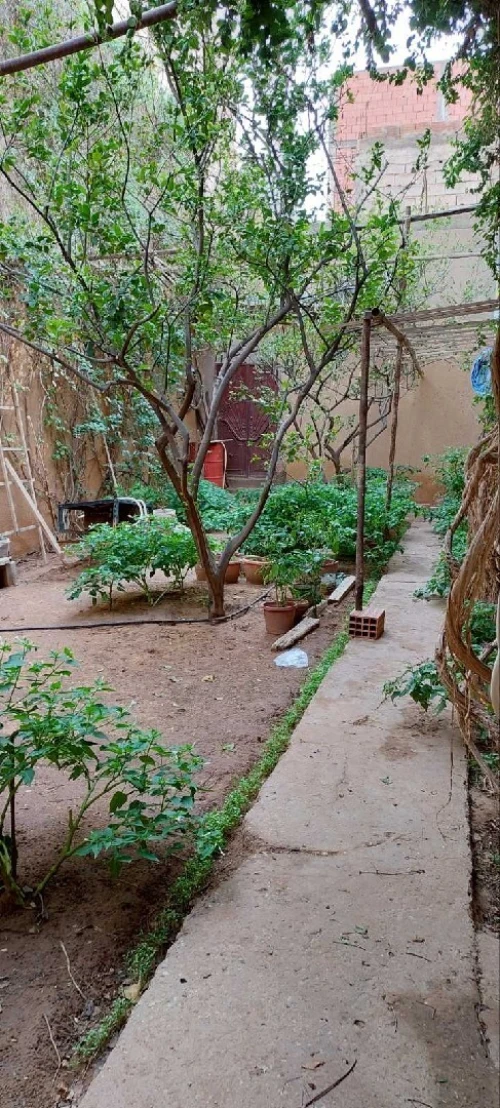 Vente Villa Laghouat Laghouat