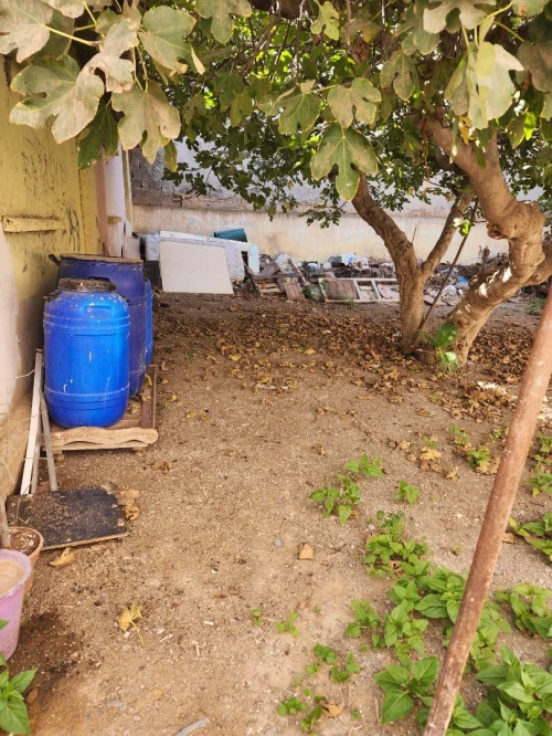 Vente Villa Oran Es senia