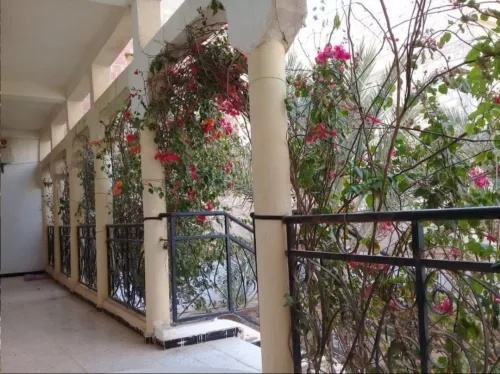 Vente Villa Biskra Biskra