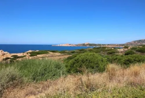 Vente Terrain Aïn Témouchent Ain temouchent