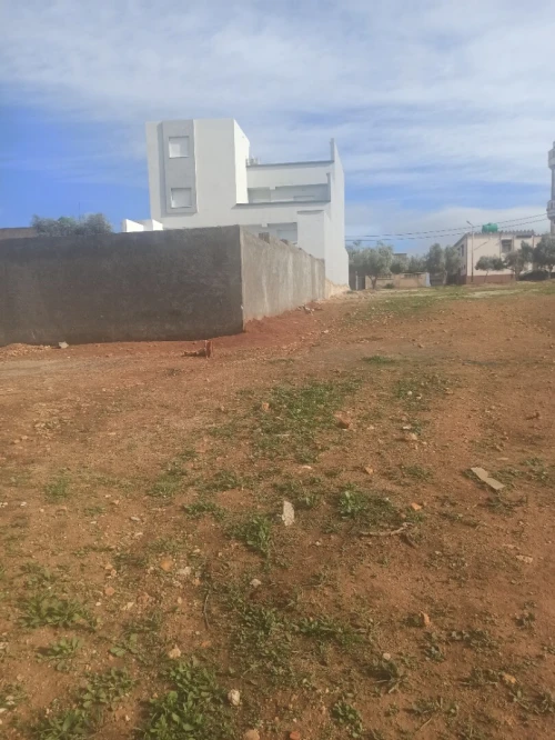 Vente Terrain Tlemcen Marsa ben mhidi