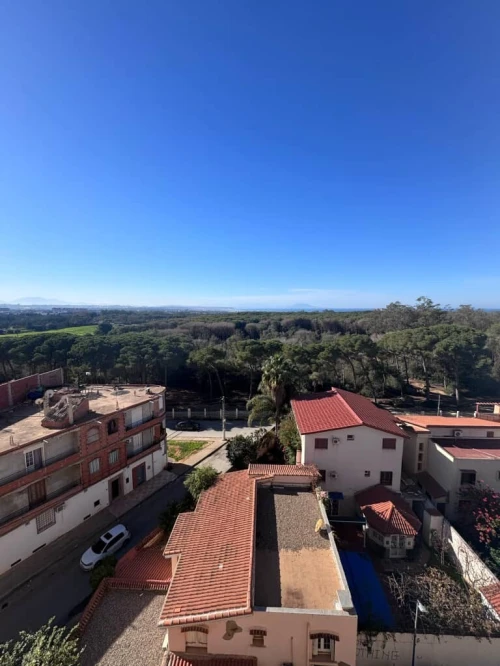 Vente Appartement F3 Alger Cheraga