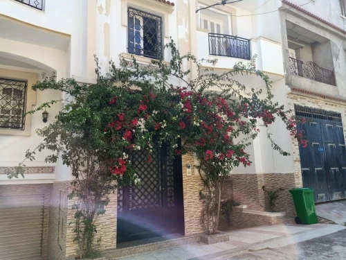 Vente Appartement Niveau de villa F4 Alger Cheraga