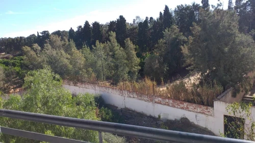 Location Duplex F6 Alger Cheraga