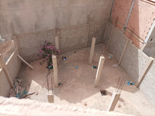 Vente Terrain Tlemcen Mansourah