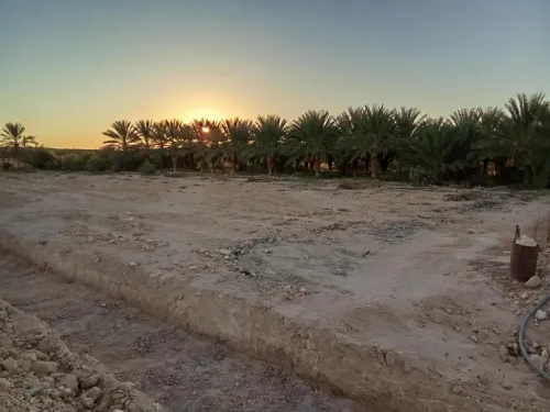 Vente Terrain Agricole Biskra El ghrous