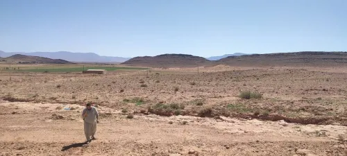 Vente Terrain Naâma Sfissifa