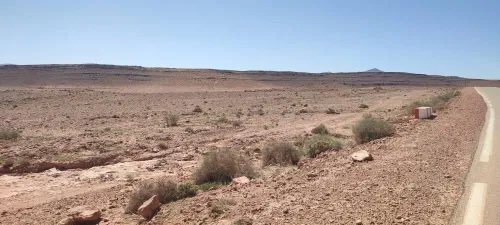 Vente Terrain Naâma Sfissifa