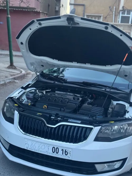 Skoda Octavia 2013 Ambiente