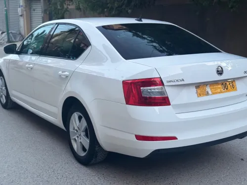 Skoda Octavia 2013 Ambiente