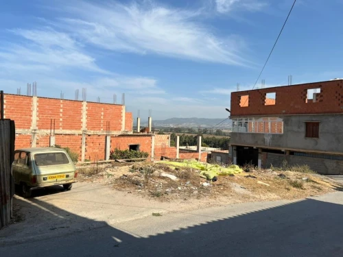Vente Terrain Tipaza Hadjout
