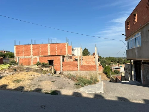 Vente Terrain Tipaza Hadjout