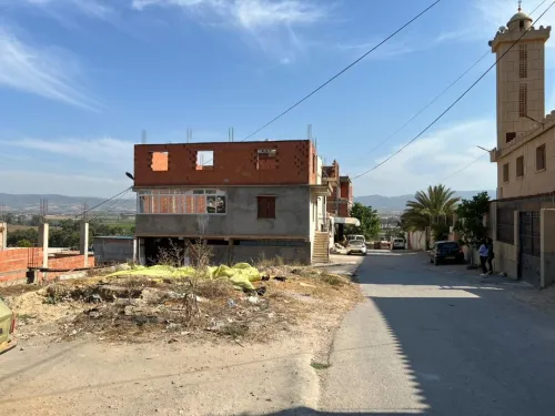 Vente Terrain Tipaza Hadjout