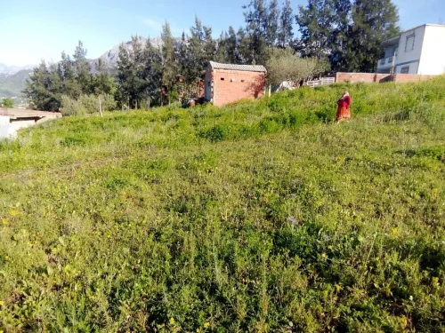 Vente Terrain Tizi Ouzou Agouni gueghrane