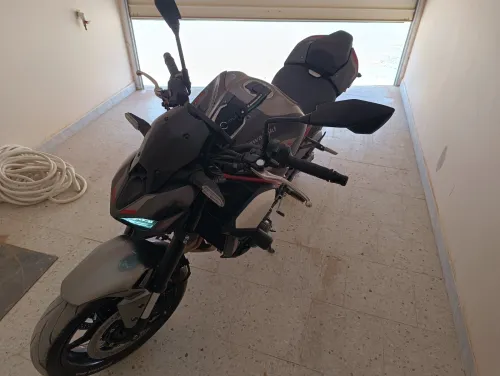 Kawasaki Z900 2026