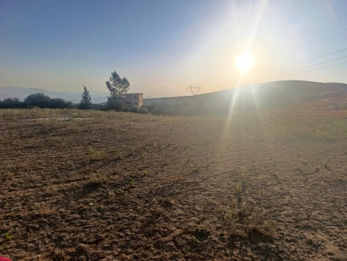 Vente Terrain Constantine Hamma bouziane