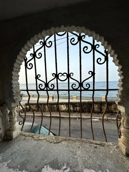Location Local Alger Bab el oued