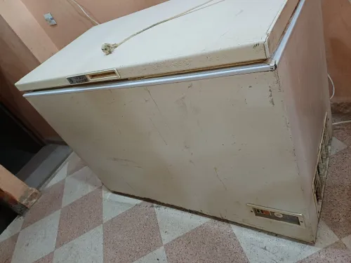 كونجلاتور