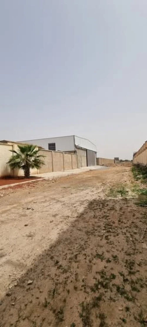Location Hangar Oran Oran