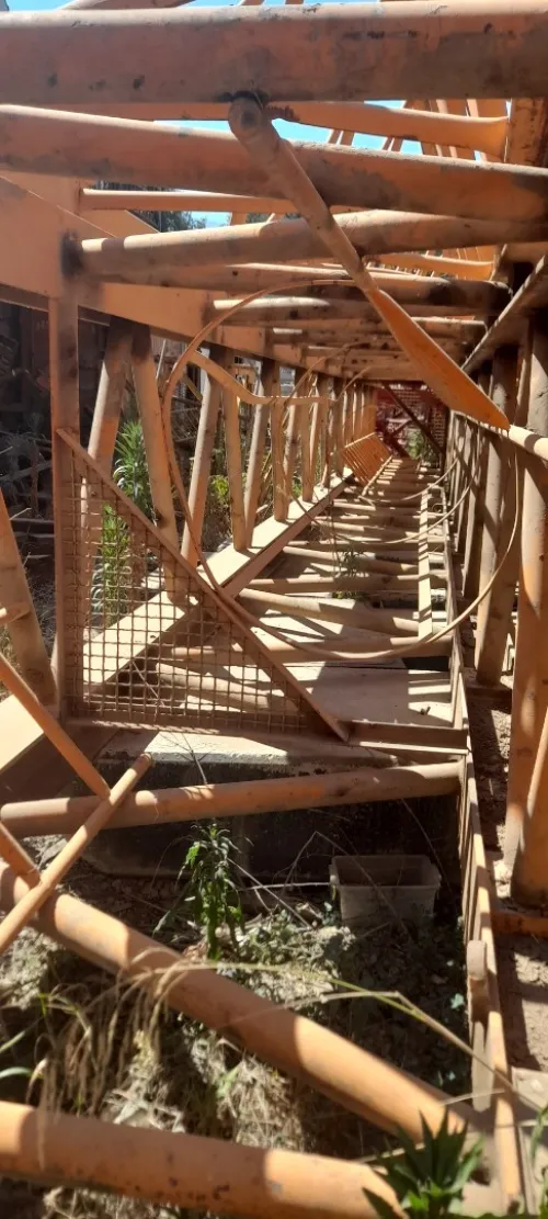 Grue à tour