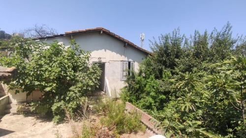 Vente Terrain Boumerdès Thenia